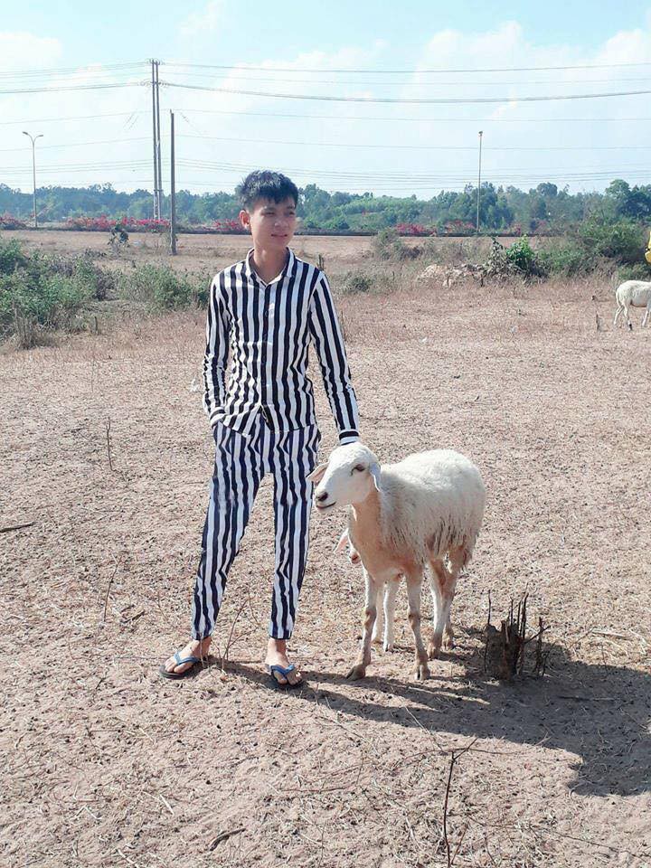 Thanh niên tạo dáng bên chú cừu đầy thần thái nhưng vẫn nhờ cư dân mạng sửa ảnh và cái kết buồn