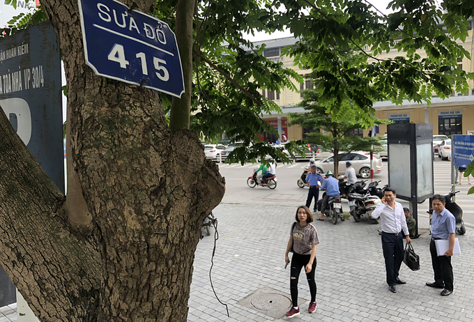 Hàng sưa quý trước ngày di dời để xây ga ngầm