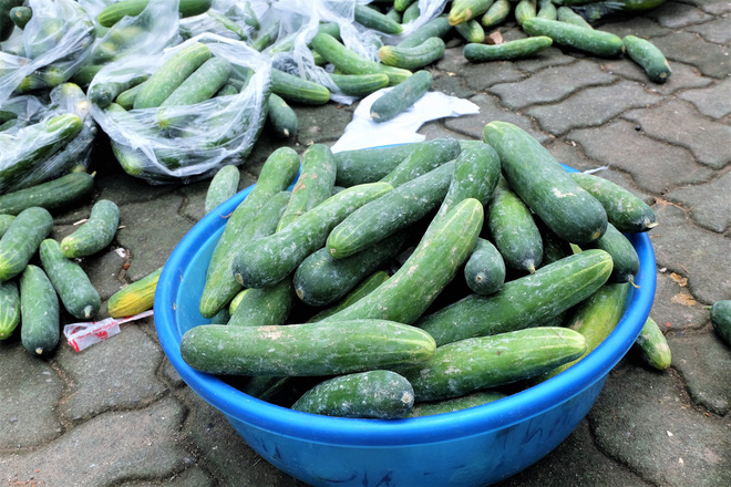 Hàng trăm kg dưa chuột đổ mồ hôi trong nắng nóng Hà Nội chờ được giải cứu