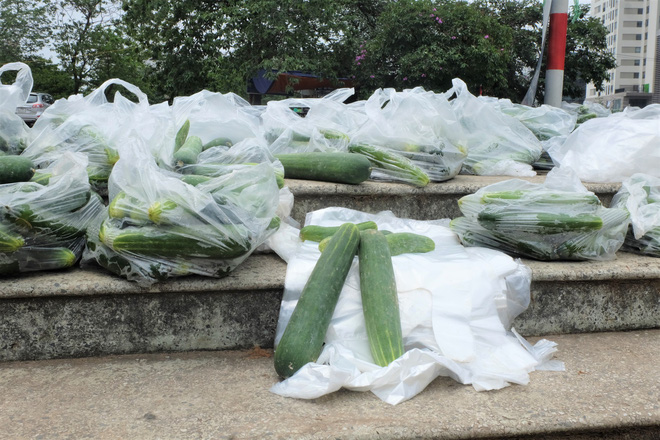 Hàng trăm kg dưa chuột đổ mồ hôi trong nắng nóng Hà Nội chờ được giải cứu