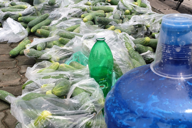 Hàng trăm kg dưa chuột đổ mồ hôi trong nắng nóng Hà Nội chờ được giải cứu