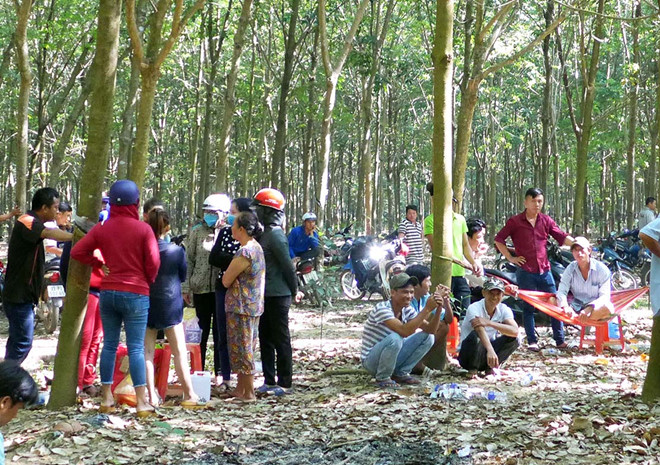 Khởi tố nhóm người xẻo tai cô gái vì món nợ 20 triệu