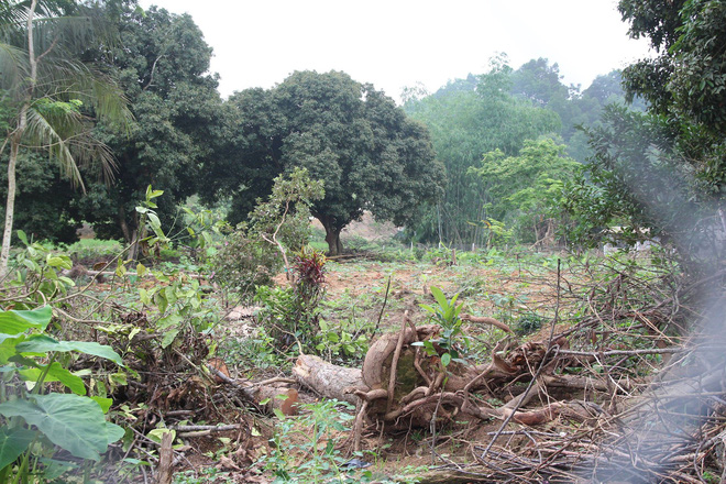 Cuộc sống sang trang mới của mẹ già 79 tuổi từng có ý định cho 6 con dại ăn một bữa thật no rồi uống thuốc độc cùng chết