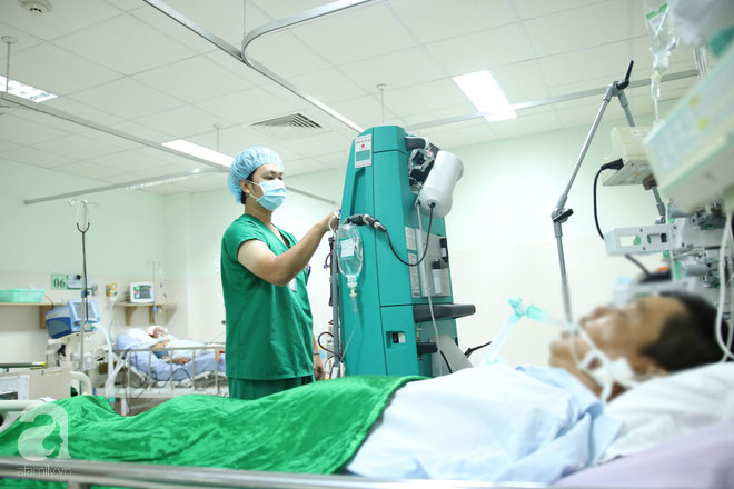 Hậu Giang: Người đàn ông nguy kịch sau khi bị bầy ong mật đuổi theo đến tận nhà, đốt 250 mũi