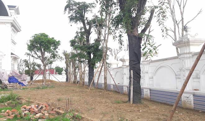 Xôn xao ngôi biệt thự rộng gần 2000m2 của cụ bà tuổi 78 ở Hà Tĩnh