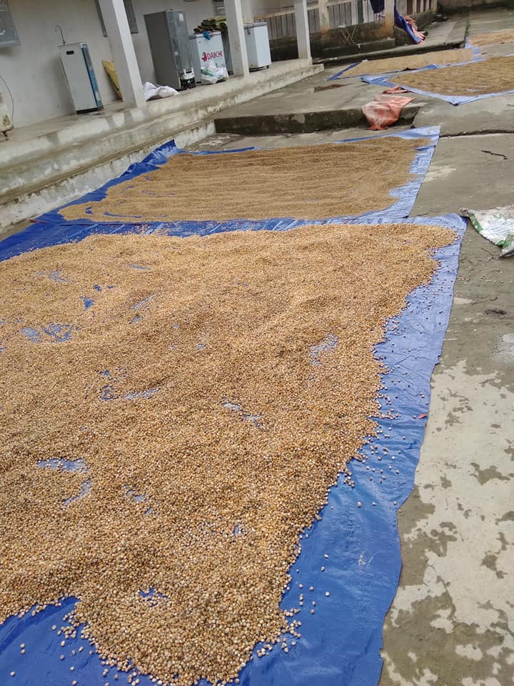 Lũ quét kinh hoàng ở Hà Giang: Lớn nhất trong 20 năm qua