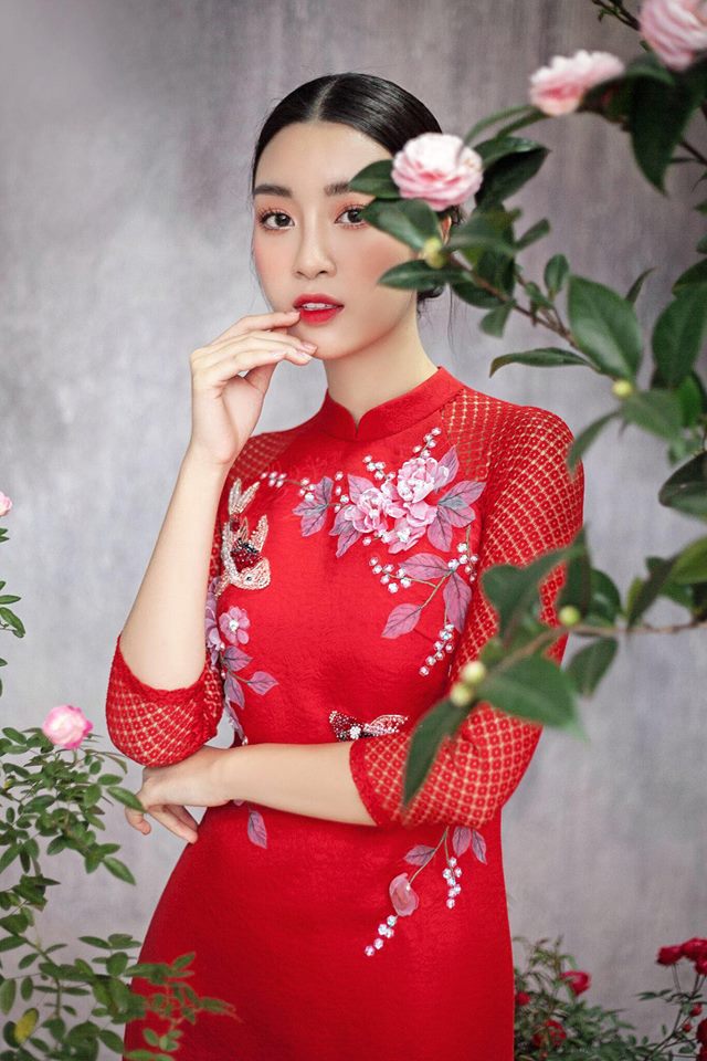 Nhan sắc không góc chết của Hoa hậu sắp làm MC cho VTV Nhan sắc không góc chết của Hoa hậu sắp làm MC cho VTV