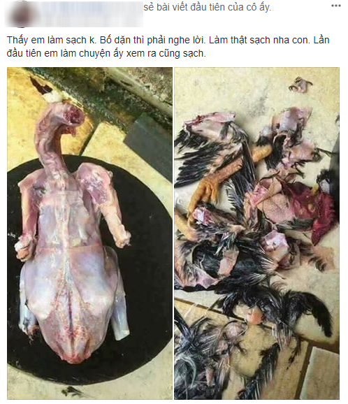 Bố dặn làm gà thật sạch lông, cô nàng không những vâng lời mà còn tạo ra một tác phẩm mang tên gà dị dạng Bố dặn làm gà thật sạch lông, cô nàng không những vâng lời mà còn tạo ra một tác phẩm mang tên gà dị dạng