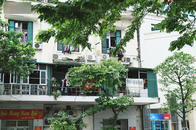 Người Hà Nội tiếc nuối hàng cây sưa quý hiếm chuẩn bị di dời để xây ga ngầm Người Hà Nội tiếc nuối hàng cây sưa quý hiếm chuẩn bị di dời để xây ga ngầm