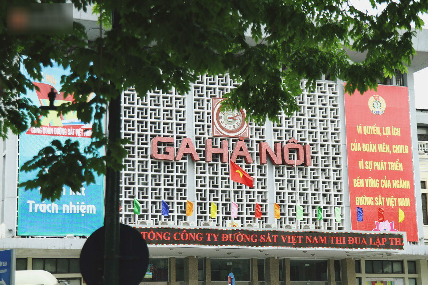 Người Hà Nội tiếc nuối hàng cây sưa quý hiếm chuẩn bị di dời để xây ga ngầm