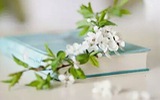 Thứ Ba của bạn (9/5): Bọ Cạp kiệm lời là tốt nhất Thứ Ba của bạn (9/5): Bọ Cạp kiệm lời là tốt nhất