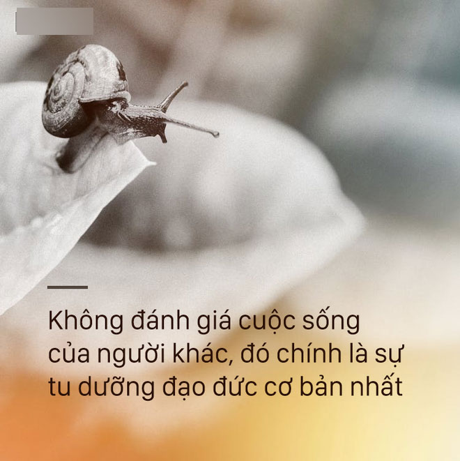 Mua nhẫn cưới rẻ tiền bị nhân viên nói kháy, cô gái chỉ nói 1 câu, đối phương phải xin lỗi Mua nhẫn cưới rẻ tiền bị nhân viên nói kháy, cô gái chỉ nói 1 câu, đối phương phải xin lỗi
