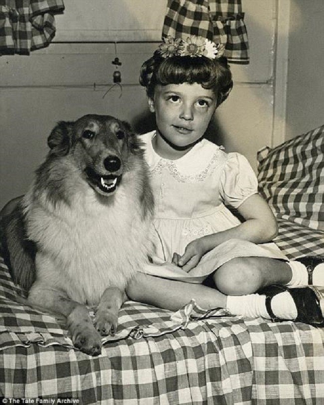 Vụ án gia đình Manson: Kẻ thảm sát nữ diễn viên xinh đẹp đang mang thai làm rung chuyển Hollywood, khiến cả nước Mỹ khiếp sợ