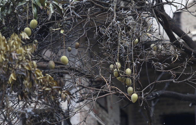 Hiện trường vụ cháy làm một người chết ở Hà Nội