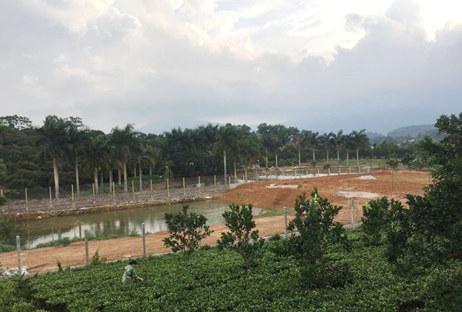 Xác minh địa giới hành chính vụ đất đai nghi của Thứ trưởng?