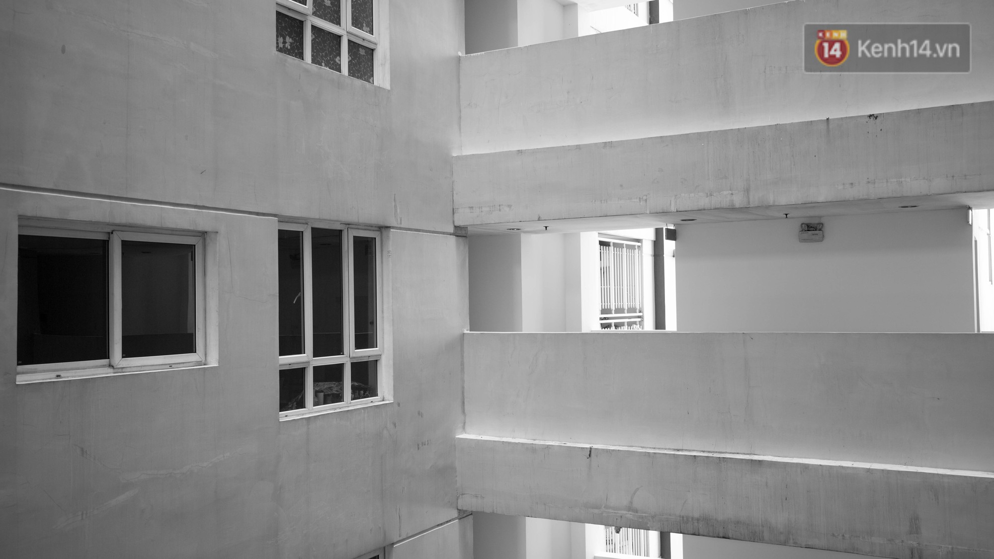 49 ngày sau thảm họa, chung cư Carina đang dần hồi sinh