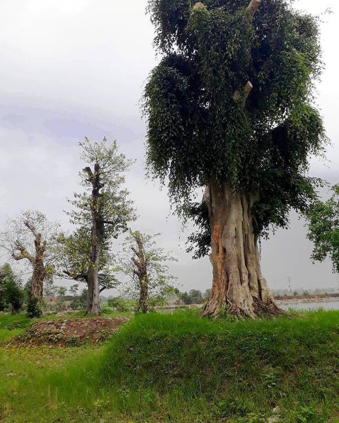 Choáng ngợp khu ẩm thực trái phép của em trai bí thư TP Thanh Hóa