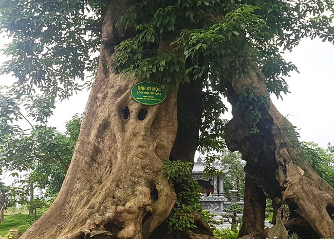 Choáng ngợp khu ẩm thực trái phép của em trai bí thư TP Thanh Hóa