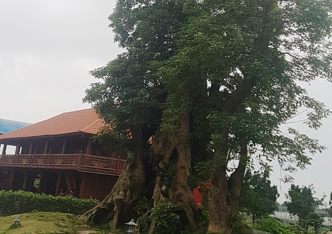 Choáng ngợp khu ẩm thực trái phép của em trai bí thư TP Thanh Hóa