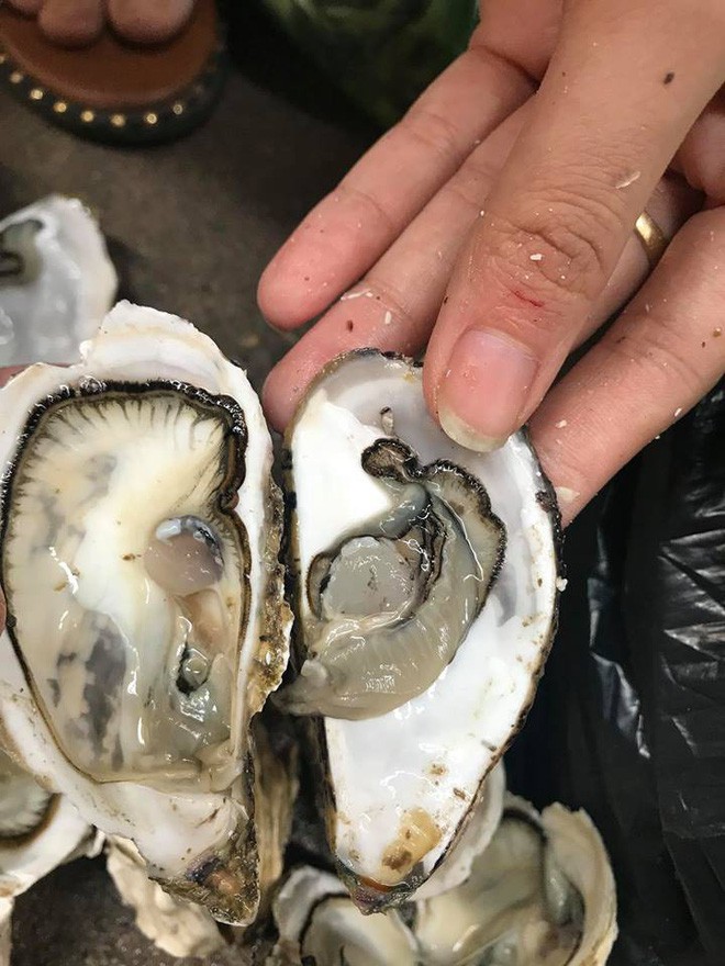 Khách đặt mua online 10kg hàu sữa, ảnh quảng cáo béo múp míp nhưng nhận hàng teo tóp, chủ shop không xin lỗi còn đăng đàn đá xéo