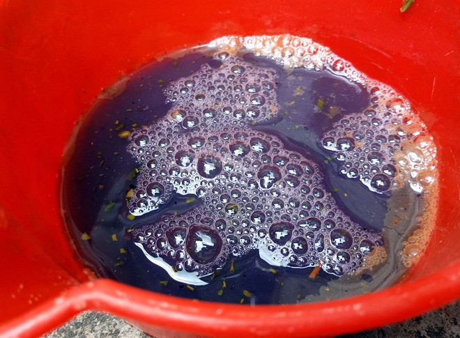 Hà Nội: Hàng nghìn hộ dân hơn 10 năm qua phải ngậm đắng sử dụng nước từ nguồn nước đen, bốc mùi hôi thối