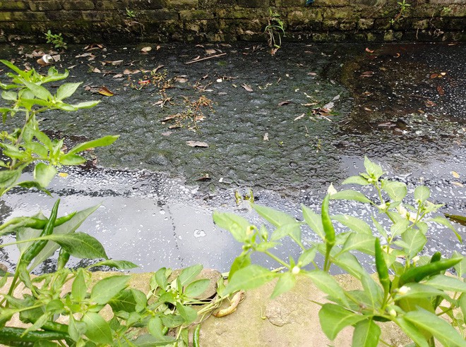 Hà Nội: Hàng nghìn hộ dân hơn 10 năm qua phải ngậm đắng sử dụng nước từ nguồn nước đen, bốc mùi hôi thối