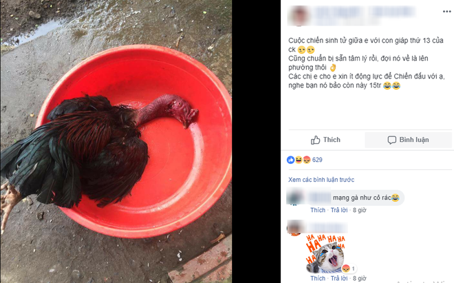 Cười đau ruột với cuộc chiến sinh tử của vợ và bồ nhí lắm lông trị giá 15 triệu của chồng