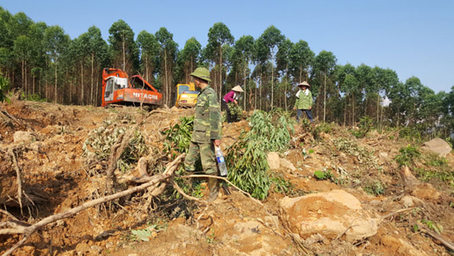Bắc Giang: Điều tra vụ 2 gia đình hỗn chiến vì tranh chấp đất rừng