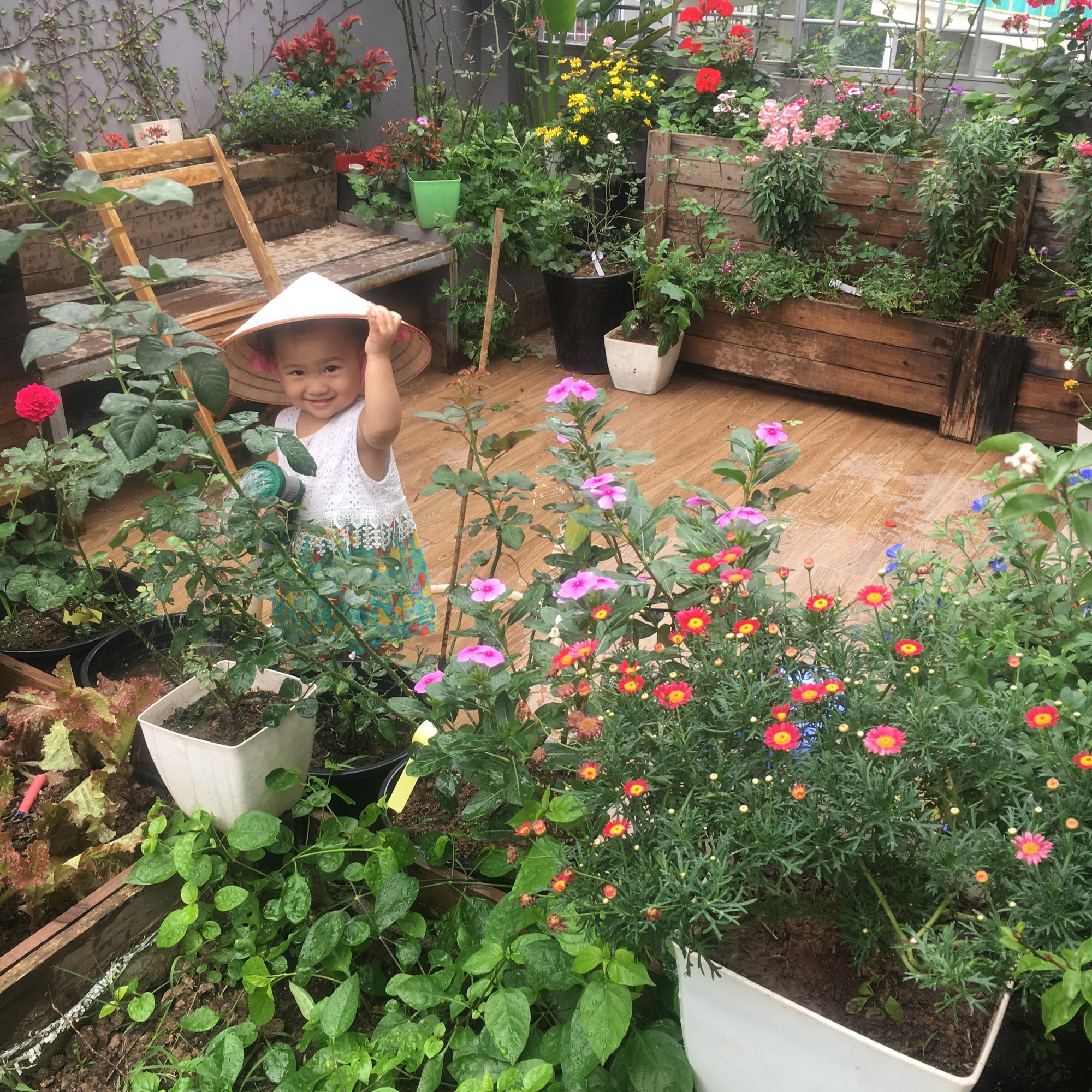 Khu vườn sân thượng trồng cho vui mà cây nào cũng thắm hoa trĩu quả của bà mẹ 8x mát tay