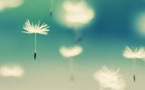 Thứ Ba của bạn (15/5): Song Ngư nhìn nhận thấu đáo Thứ Ba của bạn (15/5): Song Ngư nhìn nhận thấu đáo