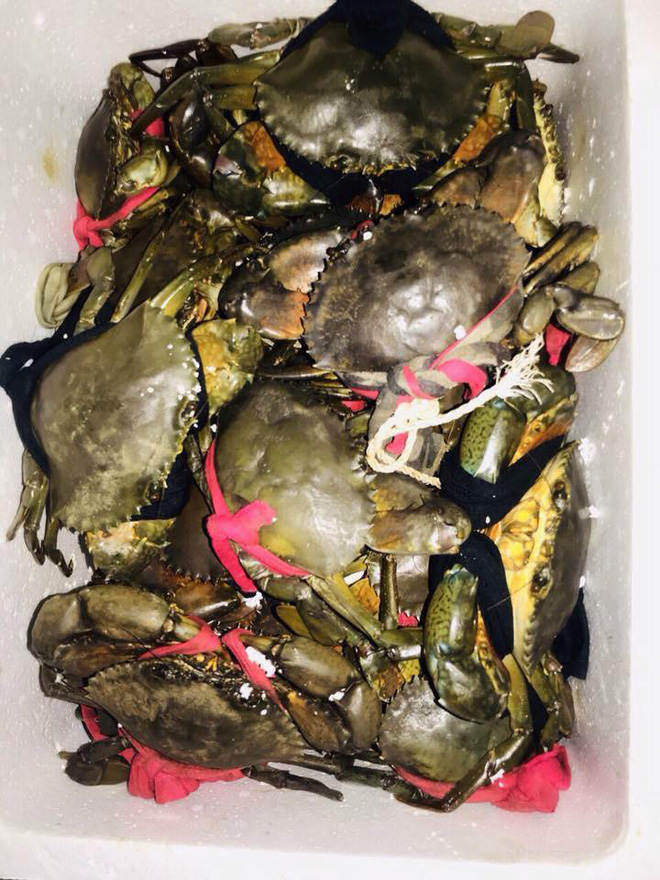 1,4kg cua thì dây nặng 7 lạng, đây đích thị là giao dịch mua dây tặng cua hời nhất thế giới rồi