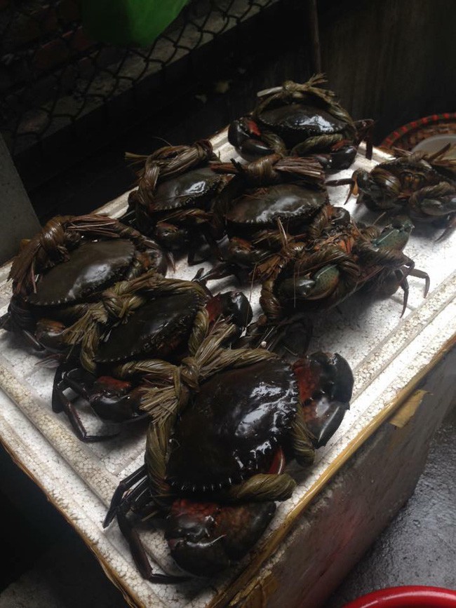 1,4kg cua thì dây nặng 7 lạng, đây đích thị là giao dịch mua dây tặng cua hời nhất thế giới rồi