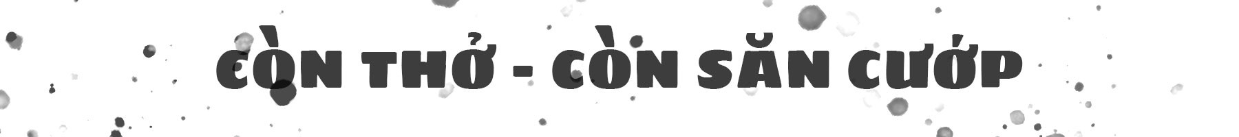 Quái kiệt săn cướp ở Sài Gòn