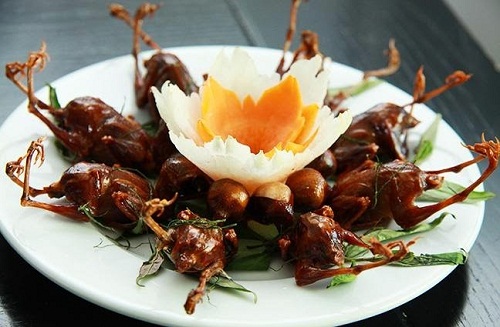 9 món ăn thuốc trị dưới hư 9 món ăn thuốc trị dưới hư