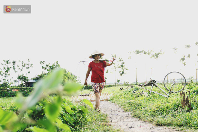 Người mẹ nghèo sinh 14 đứa con ở Hà Nội: Cố gắng tích góp để lỡ nằm xuống còn có cỗ quan tài, chứ chẳng phiền các con Người mẹ nghèo sinh 14 đứa con ở Hà Nội: Cố gắng tích góp để lỡ nằm xuống còn có cỗ quan tài, chứ chẳng phiền các con