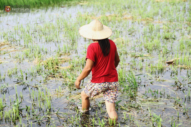 Người mẹ nghèo sinh 14 đứa con ở Hà Nội: Cố gắng tích góp để lỡ nằm xuống còn có cỗ quan tài, chứ chẳng phiền các con Người mẹ nghèo sinh 14 đứa con ở Hà Nội: Cố gắng tích góp để lỡ nằm xuống còn có cỗ quan tài, chứ chẳng phiền các con