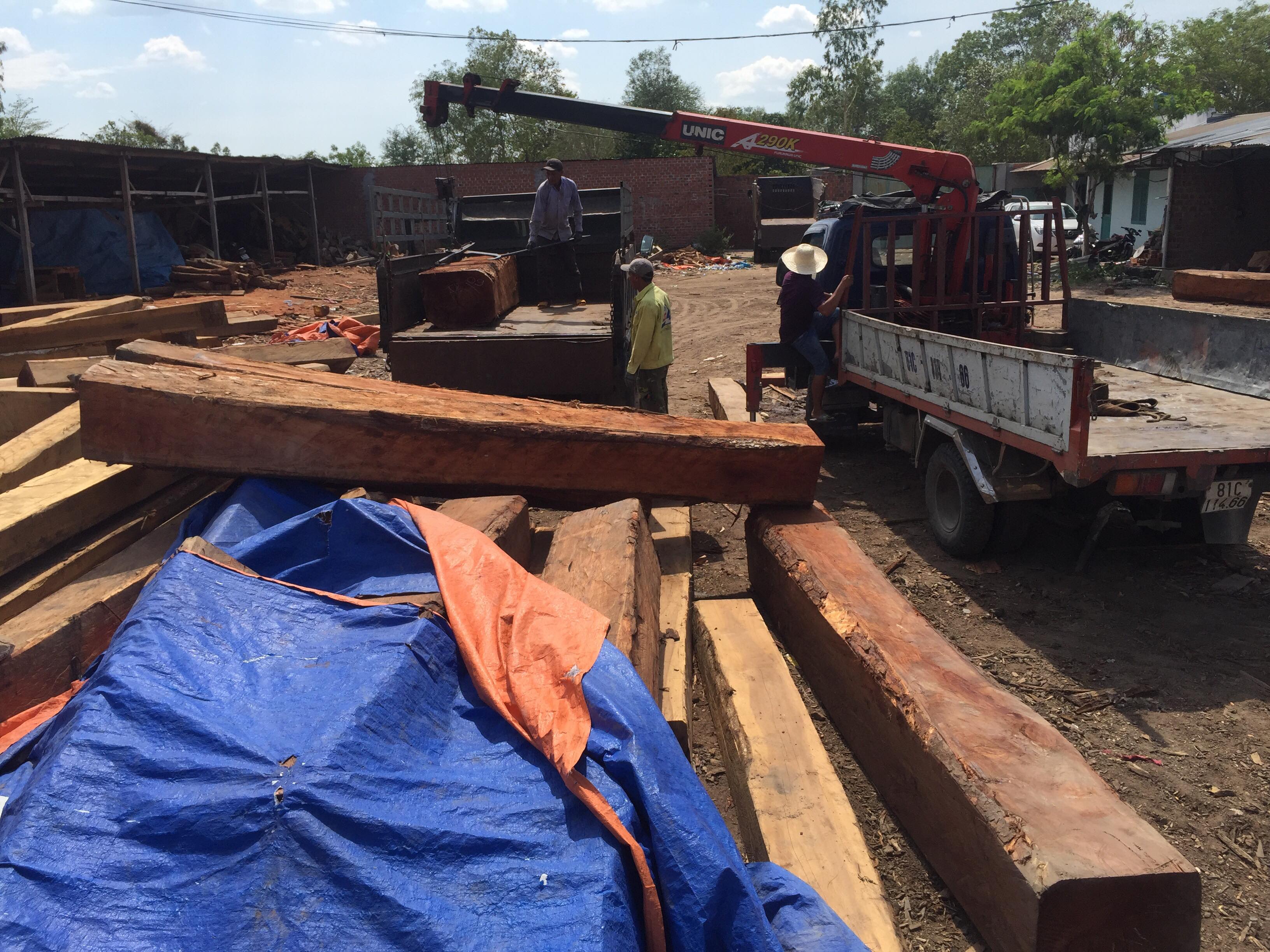 Bắt khẩn cấp giám đốc doanh nghiệp, tạm giữ hơn 60m3 gỗ