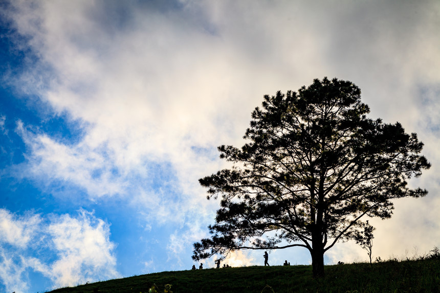 Tà Năng - Phan Dũng: Cung đường trekking đẹp nhưng đầy rẫy hiểm nguy