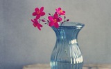 Thứ Sáu của bạn (18/5): Cự Giải liệu việc như thần Thứ Sáu của bạn (18/5): Cự Giải liệu việc như thần