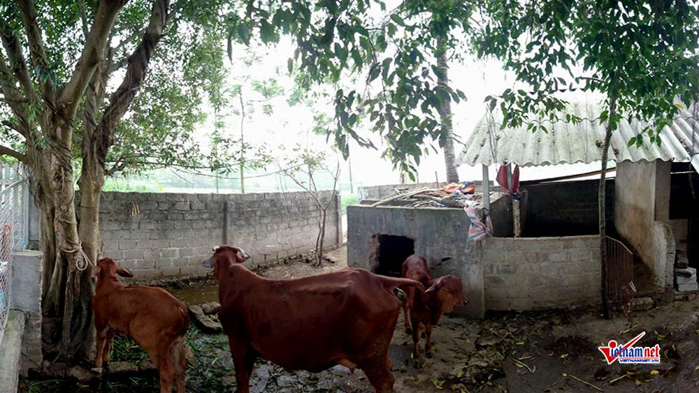 Công trình chục tỷ bỏ hoang: Xã phải tự bỏ tiền ra tu sửa