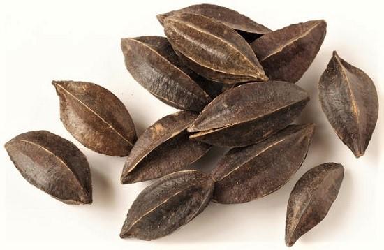 Trồng hoa sử quân tử dây leo tô điểm cho tường nhà thêm rực rỡ