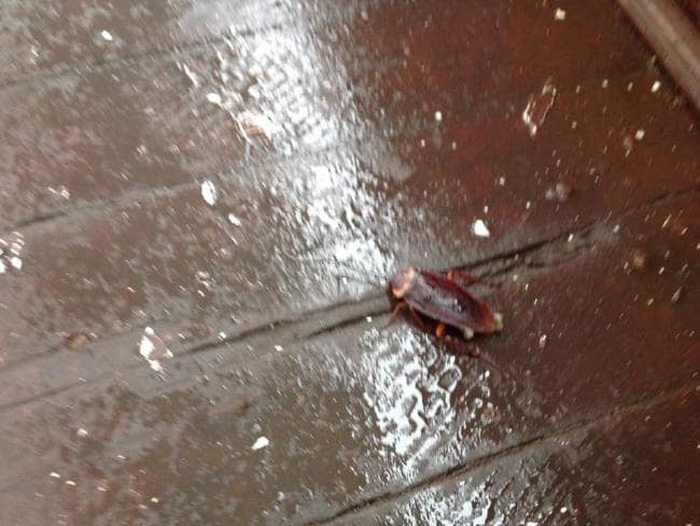 Truy tìm tàu Hoàng Phương 16 sau đêm tồi tệ của du khách Úc