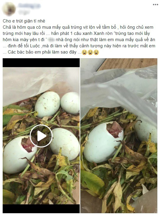 Mua trứng vịt lộn về chưa kịp ăn đã nở thành con, khách mắng vốn ông chủ hàng nhưng dân mạng đã phát hiện điều bất ngờ