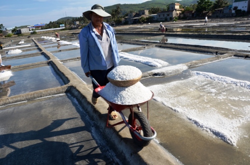 Quảng Ngãi thu hồi 10 ha đồng muối Sa Huỳnh làm biệt thự