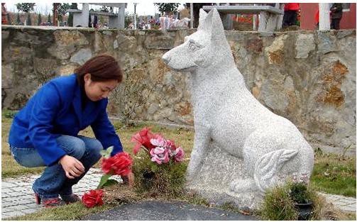 Chuyện cảm động về khoảnh khắc chú chó hy sinh cứu hàng chục người và đàn con nhỏ