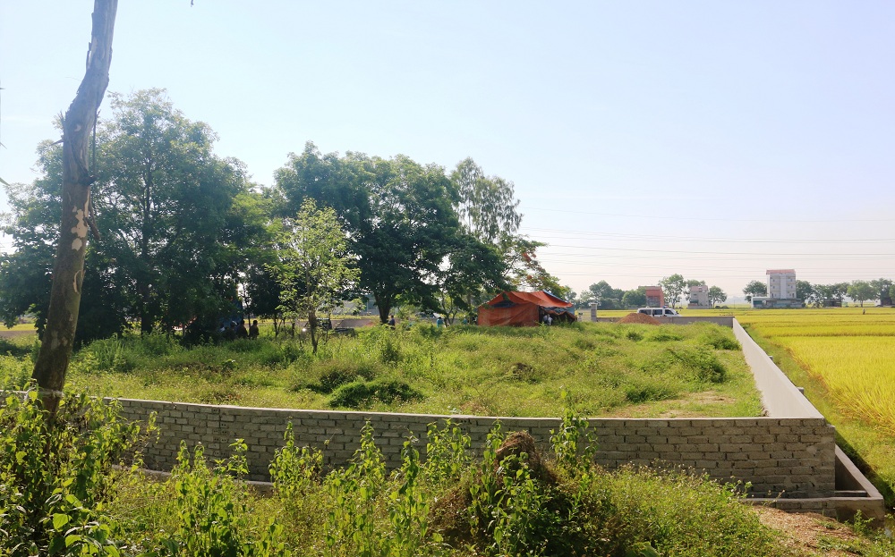 Hiện trường khai quật tử thi kế toán treo cổ trên đồi thông