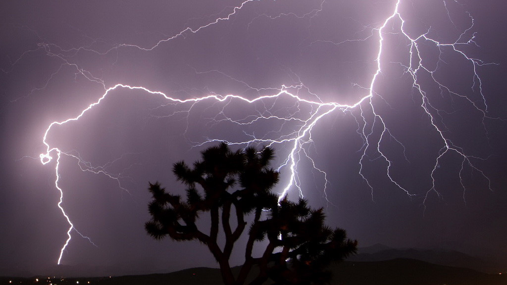 Đi chăn dê, 2 ông cháu bị sét đánh tử vong