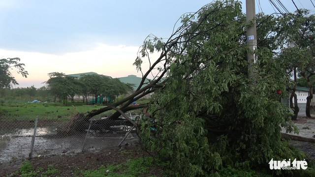 Sau cơn gió giật, nguyên dãy nhà trọ không còn mái