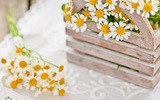 Thứ Năm của bạn (24/5): Cự Giải hãy quan tâm gia đình nhiều hơn Thứ Năm của bạn (24/5): Cự Giải hãy quan tâm gia đình nhiều hơn