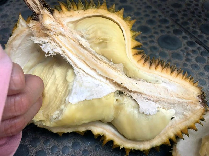 Hà Nội: Xếp hàng giữa trưa nắng tranh mua 17 tấn sầu riêng ế